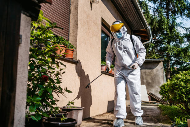 Best Best Pest Control Companies  in Folsom, CA