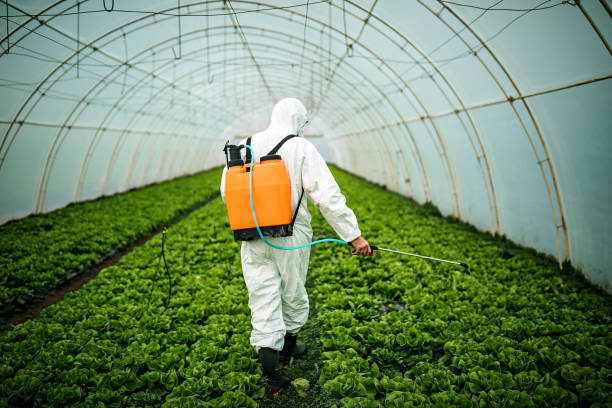 Best Residential Pest Control  in Folsom, CA