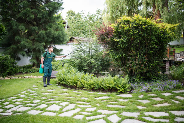 Best Wasp Removal Services  in Folsom, CA