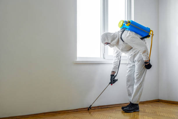 Best Pest Removal Services  in Folsom, CA