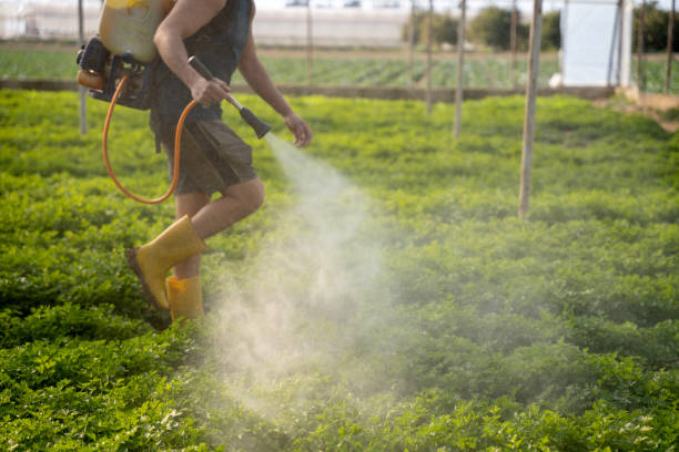 Best Pest Control Near Me  in Folsom, CA
