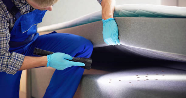 Best Cockroach Control Services  in Folsom, CA