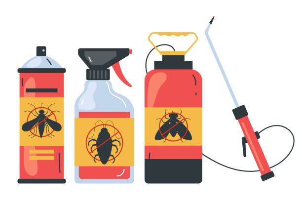 Best Wasp Removal Services  in Folsom, CA